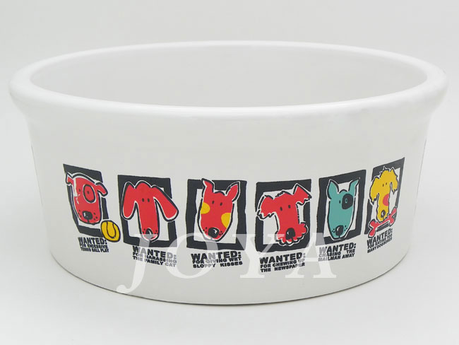 Pet Bowl